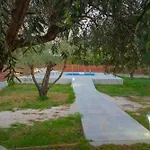 Agrilida فيلة *